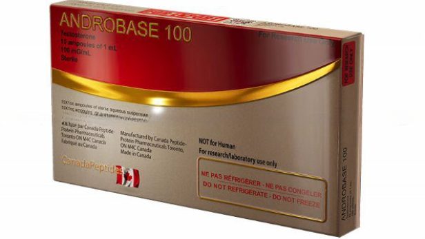 androbase-10amp-100mg-ml.jpeg