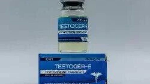 gerth-testoger-e-250mg-ml-cena-za-10ml.jpg