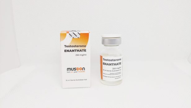 musc-on-testosterone-enanthate-250mg-ml-cena-za-10-ml.jpeg