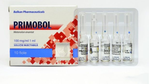 primobol-amp-10amp-100mg-ml.jpeg