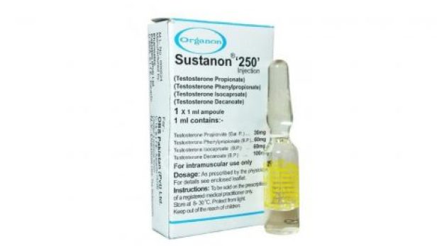 sustanon-250-organon-3-amp-250mg-ml.jpeg